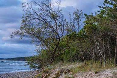 CBA半决赛辽宁轻取广东，赵继伟贡献12助攻，cba半决赛辽宁队