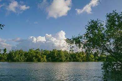 Dota 2 赛事直播技术创新升级，dota2 直播平台