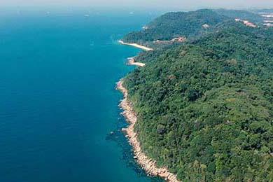 F1绿色赛季：环保技术全面升级，绿色f1赛车的图片